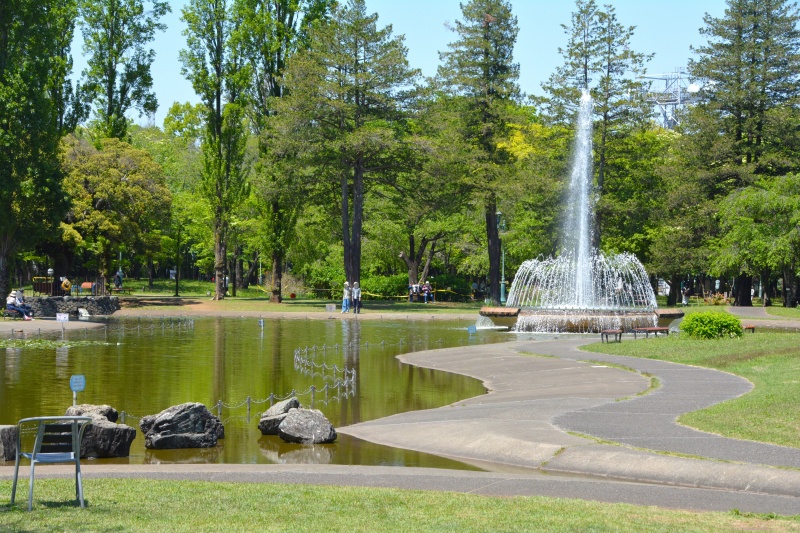 彩の森入間公園